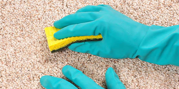 Bayswater Carpet Cleaning | Rug Cleaning W2 Bayswater