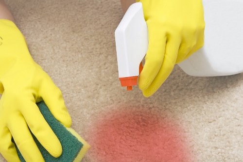 Professional carpet cleaning service in a Bayswater home with fresh, clean flooring