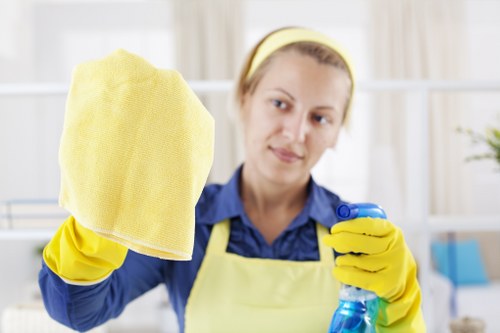 Professional rug cleaning for Bayswater homes and apartments