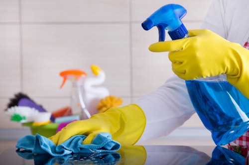Rug cleaning for residential and commercial properties in Bayswater