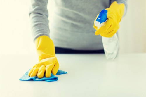 Professional cleaning of a carpeted living room affected by pet odour