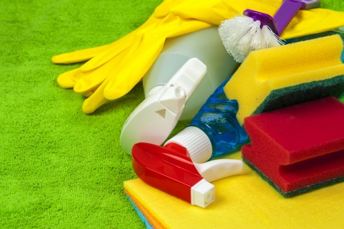 Targeted treatment for pet stains on upholstery in Bayswater