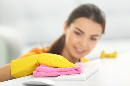 Mattress cleaning process for an apartment in Bayswater