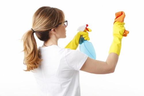 Kitchen and bathroom domestic cleaning in a Bayswater home